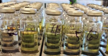 En coulisses : étudions le rôle central que les tests d’huile en laboratoire peuvent jouer dans la surveillance de l’intégrité de vos équipements électriques